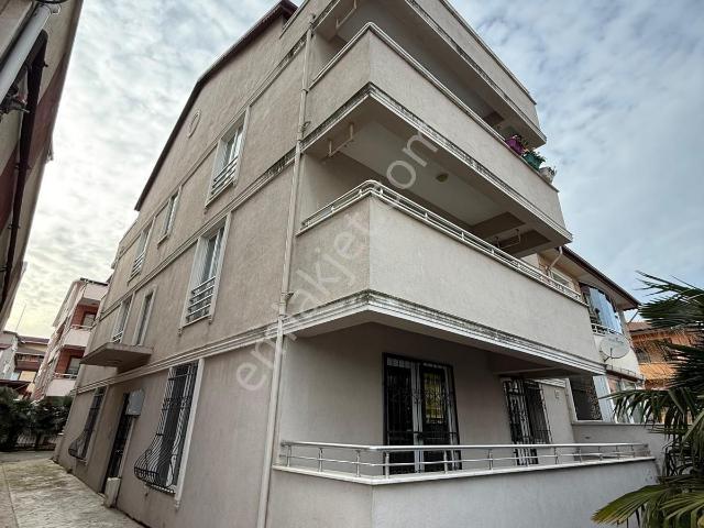 Körfez, Kocaeli içerisinde kiralık mülk