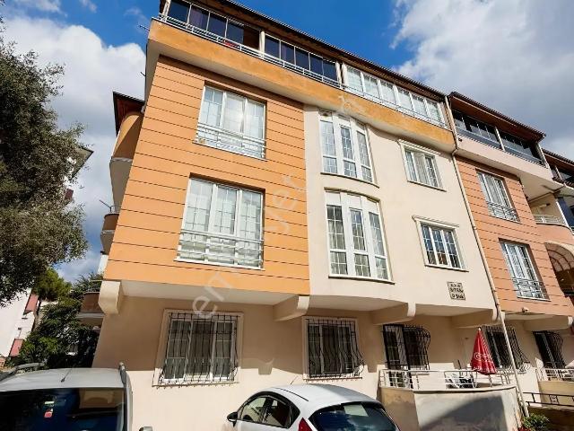 Körfez, Kocaeli içerisinde kiralık mülk