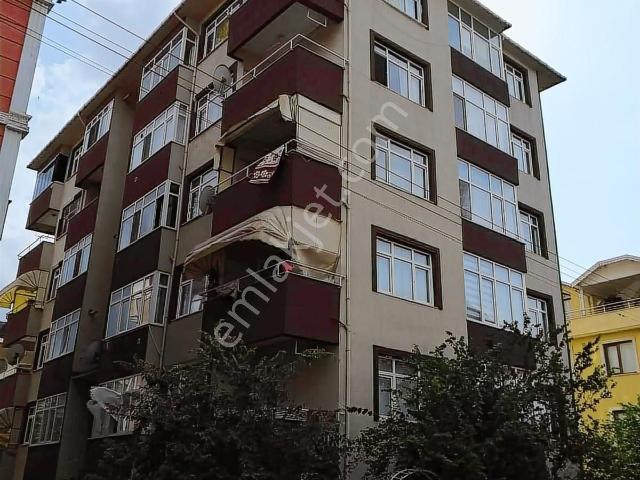 Körfez, Kocaeli içerisinde kiralık mülk