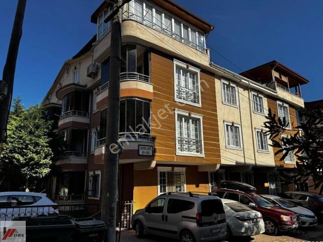Körfez, Kocaeli içerisinde kiralık mülk