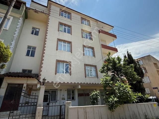 Körfez, Kocaeli içerisinde kiralık mülk