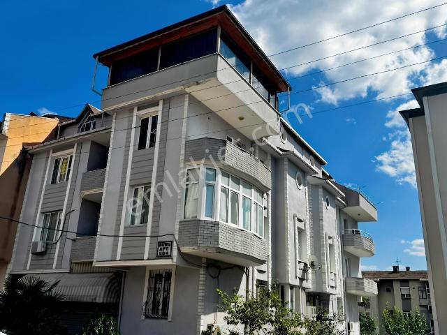Körfez, Kocaeli içerisinde kiralık mülk