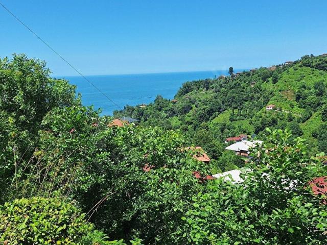 Rize içerisinde satılık mülk