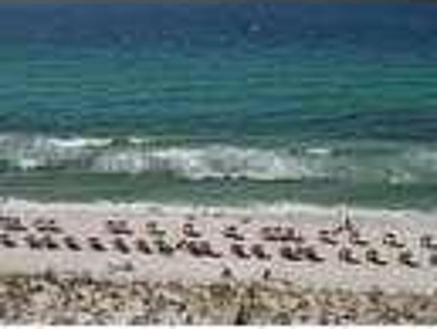 House for rent in Gulf Breeze, Florida