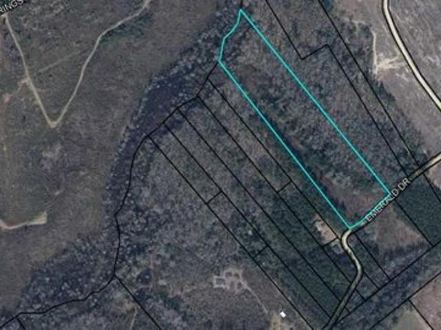Land for sale in Pinewood, South Carolina