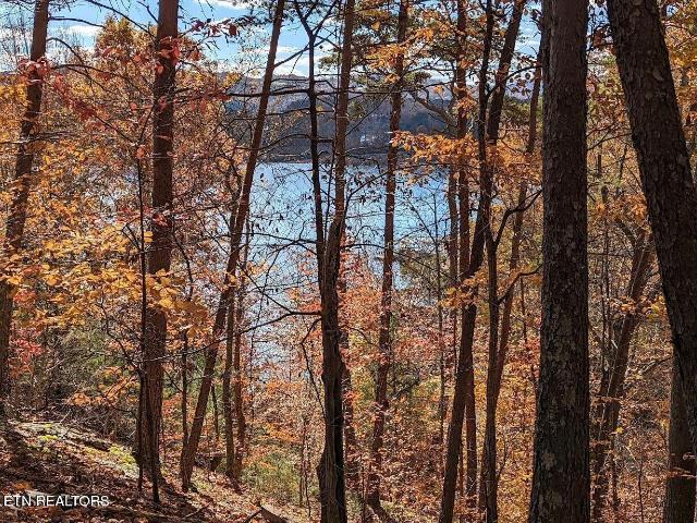 Land for sale in Tennessee