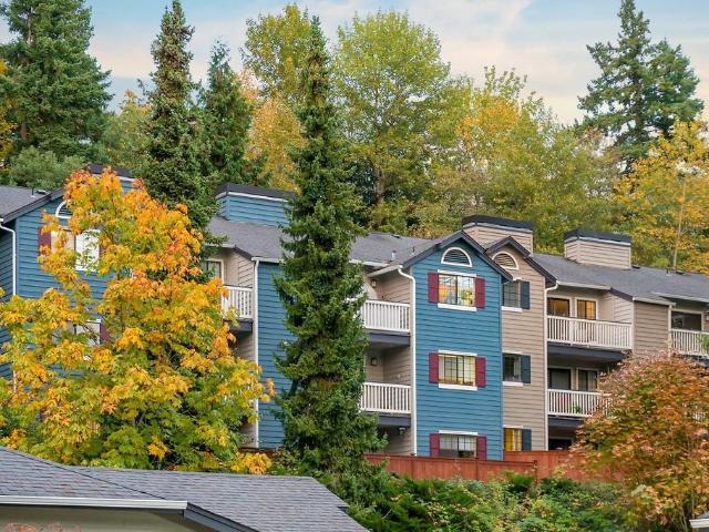 Apartment for rent in Bellevue, Washington