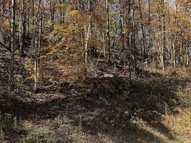 Land for sale in Tennessee