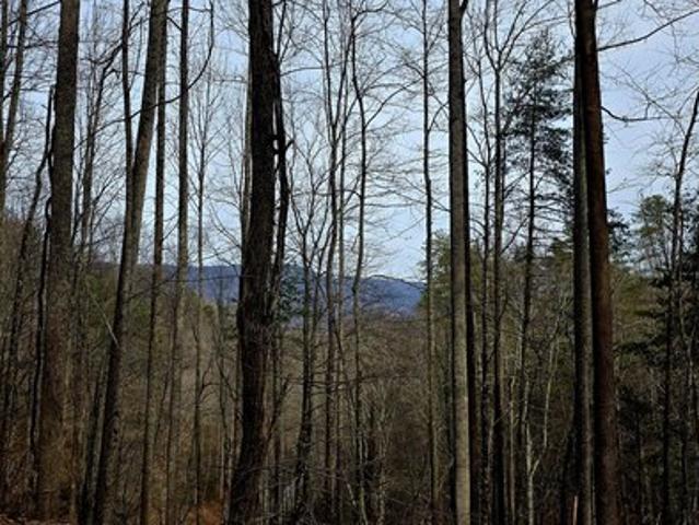 Land for sale in Tennessee