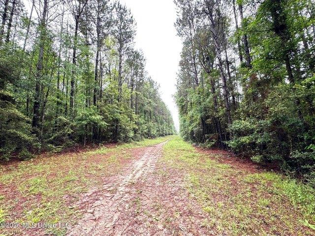 Land for sale in Magnolia, Mississippi