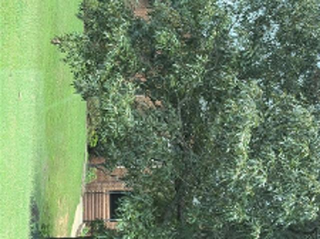House for sale in Chelsea, Alabama
