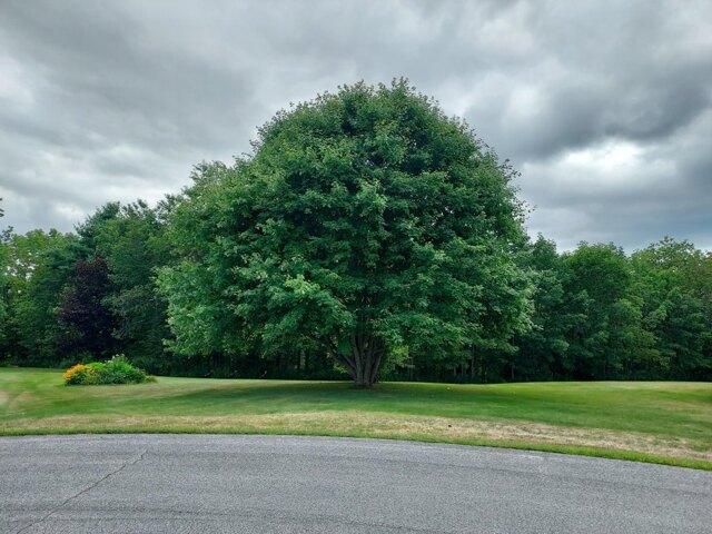Land for sale in Thomaston, Knox County