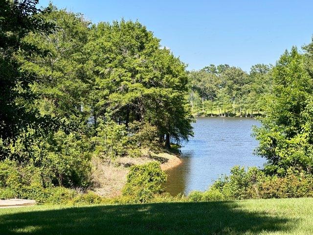 Land for sale in Many, Louisiana