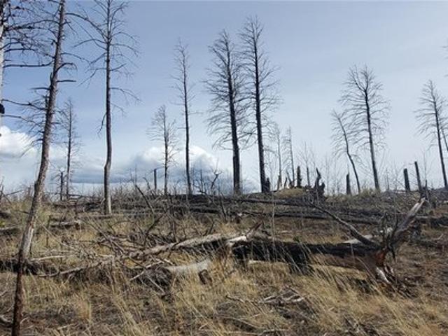 Land for sale in Fort Garland, Colorado