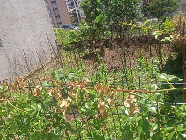 Ordu içerisinde satılık Arsa