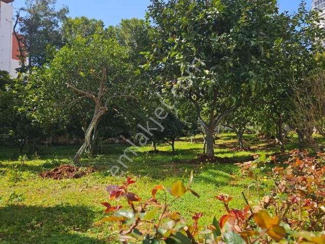 Konyaalti, Antalya içerisinde satılık mülk