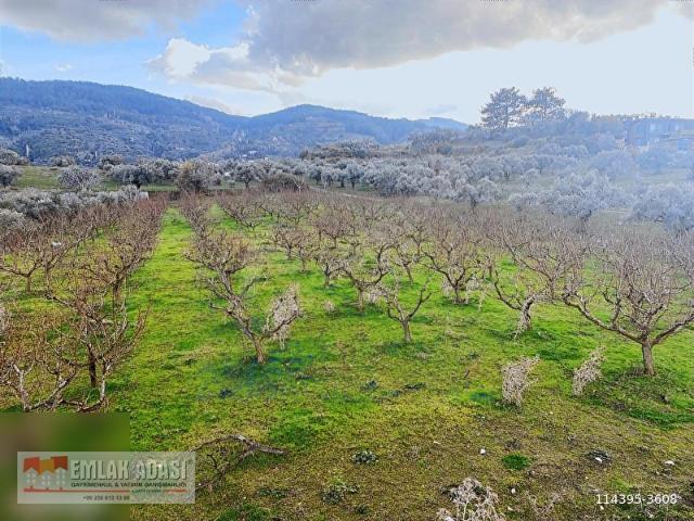 Selçuk, İzmir içerisinde satılık mülk