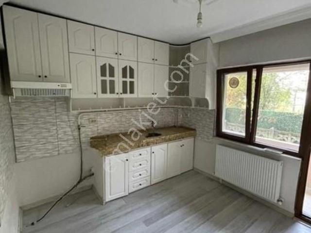 Arifiye, Sakarya içerisinde kiralık mülk