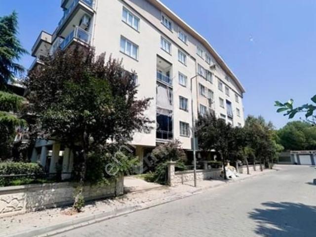 Aydin içerisinde kiralık mülk