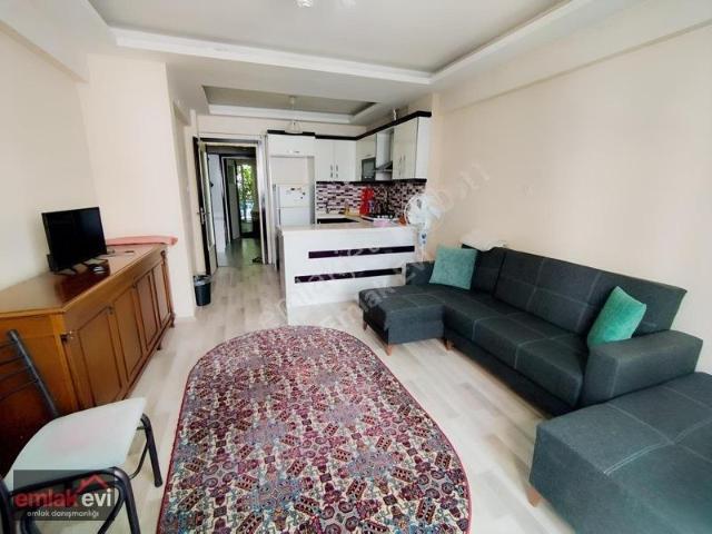 Meşrutiyet Mahallesi, Efeler içerisinde kiralık mülk