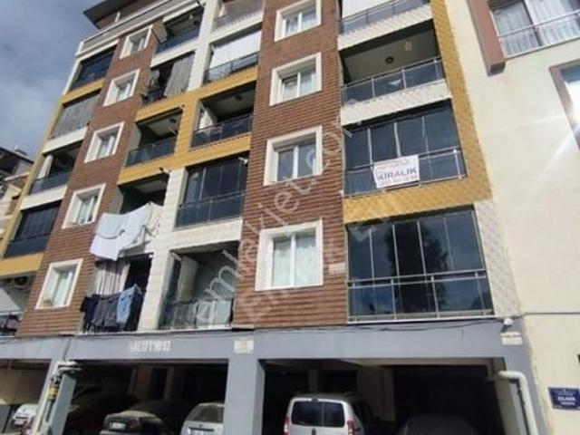 Cuma Mahallesi, Efeler içerisinde kiralık mülk