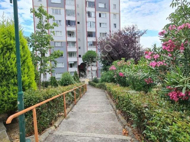 Atakum, Samsun içerisinde kiralık mülk