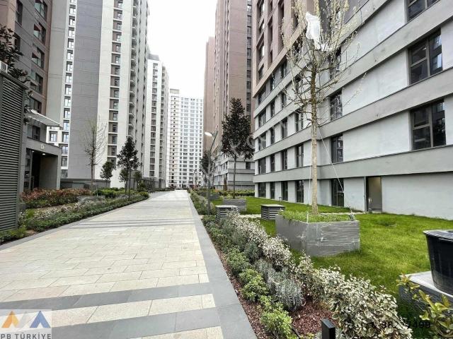 Kadiköy, İstanbul içerisinde kiralık mülk