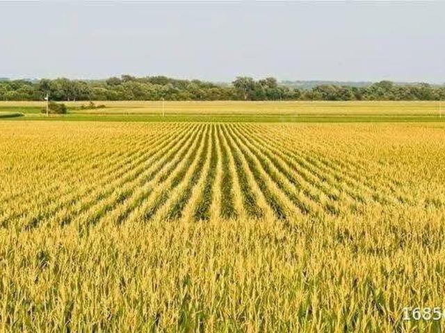 Konya içerisinde satılık Arsa
