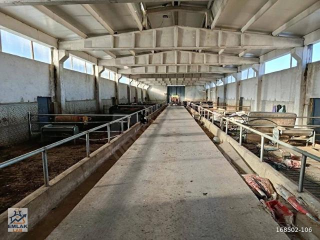 Polatli, Ankara içerisinde satılık Fabrika