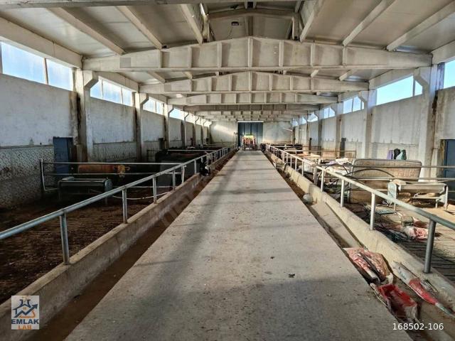 İğciler, Polatlı içerisinde satılık Fabrika