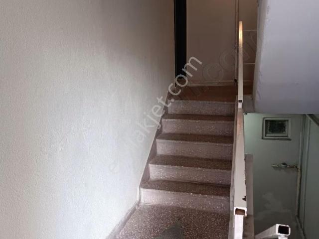 Sivas Merkez, Sivas içerisinde kiralık mülk