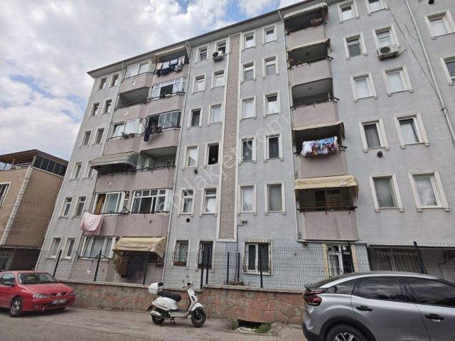 Hacı Osman Mahallesi, Körfez içerisinde kiralık mülk
