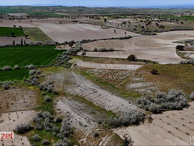 Nevşehir Merkez, Nevşehir içerisinde satılık mülk