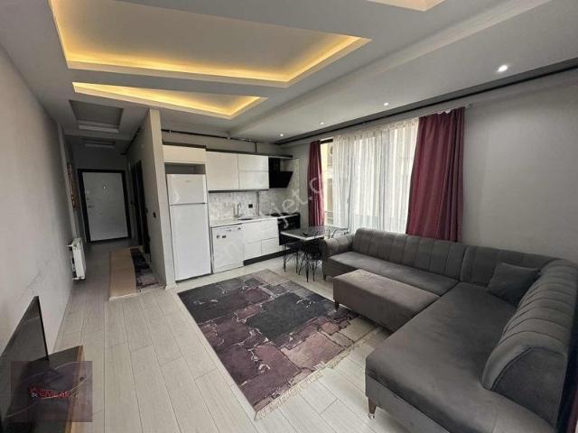 Atakum, Samsun içerisinde kiralık mülk