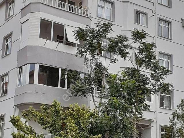 Karaman Merkez, Karaman içerisinde kiralık mülk