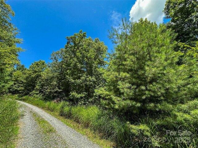 Land for sale in Hendersonville