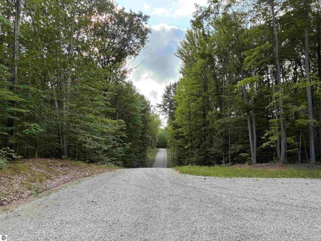 Land for sale in Michigan