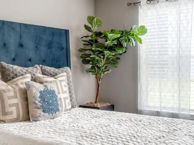 Apartment for rent in Haltom City