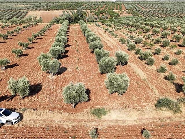 Arpakesmez Köyü, Kilis Merkez içerisinde satılık mülk