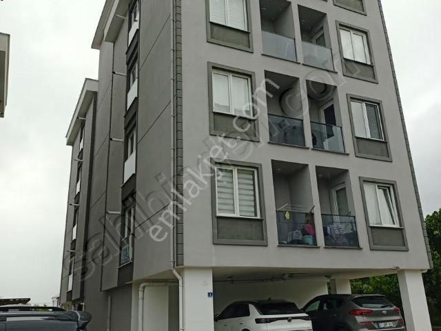 Ordu içerisinde kiralık mülk