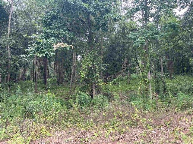 Land for sale in Harrison, Texas