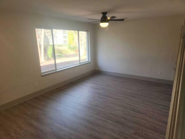 Apartment for rent in Decatur, Georgia