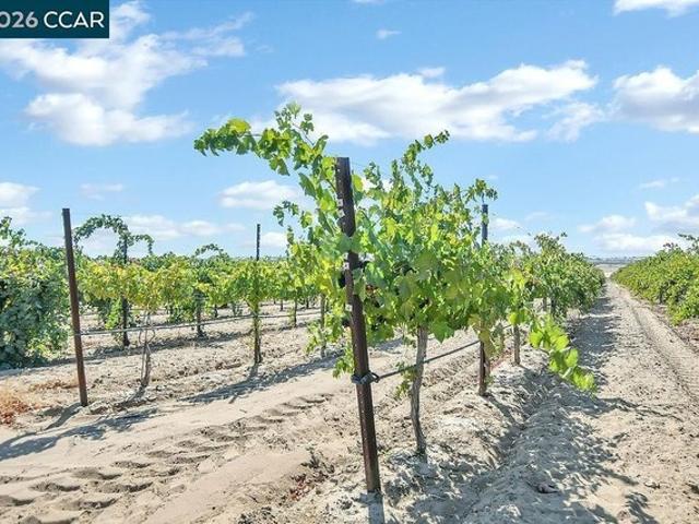 Land for sale in Oakley, California