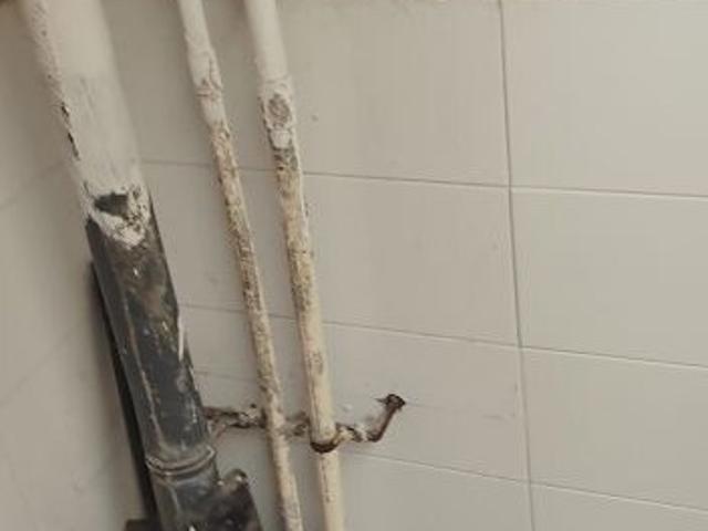 Flat for rent in Haidarabad, Telangana