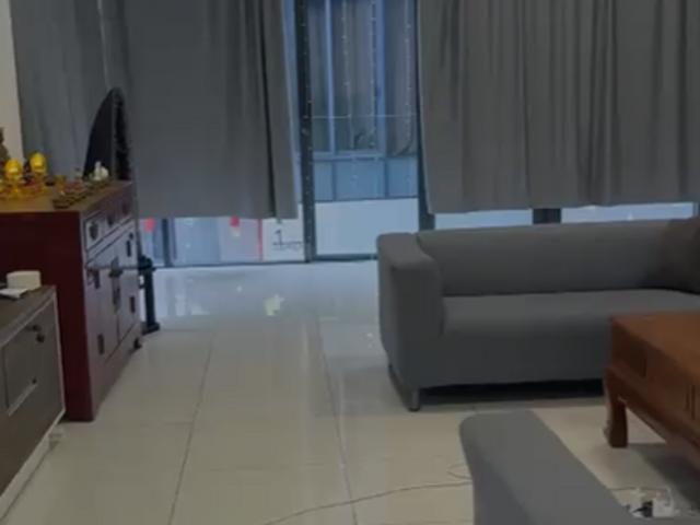 House for rent in PJU 8, Petaling Jaya