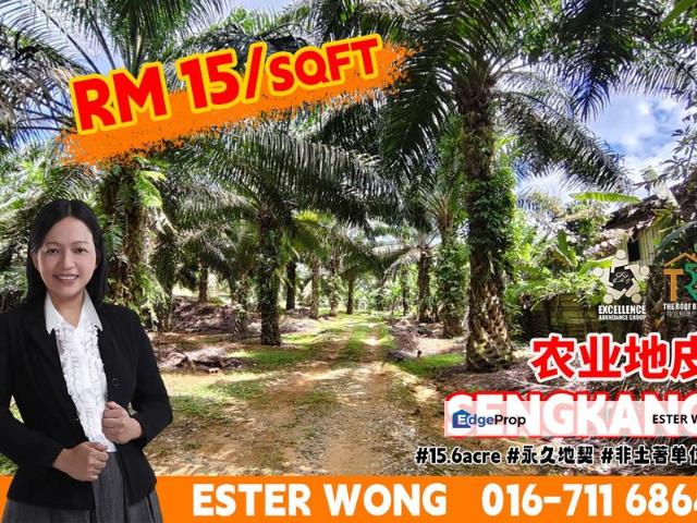 Shop for sale in Kulai, Johor