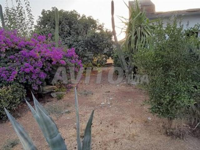 Maison vente à Ain Taoujdat