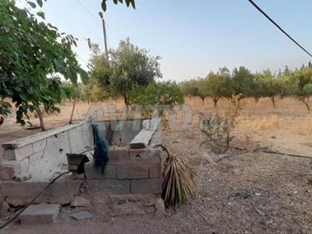 Maison vente à Ain Taoujdat