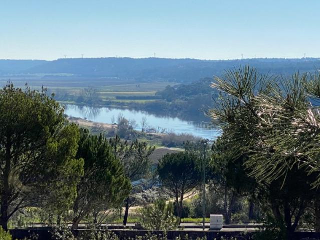 Terreno venda em Constância, Santarém
