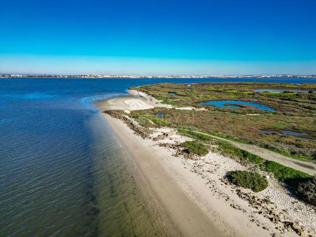 Quinta venda em Moita, Gaio-rosário